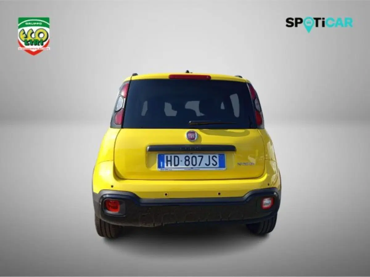 Fiat Pandina nuova a Frosinone (5)