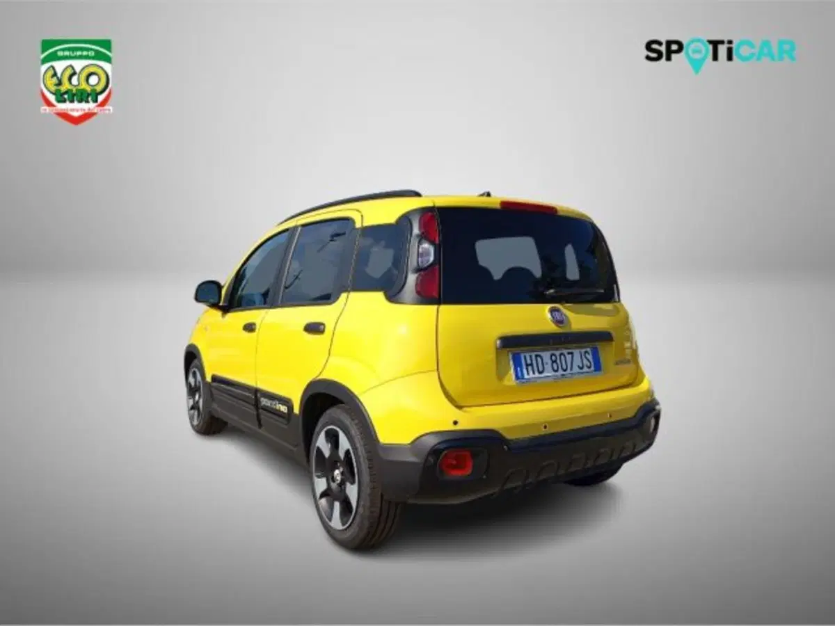 Fiat Pandina nuova a Frosinone (8)