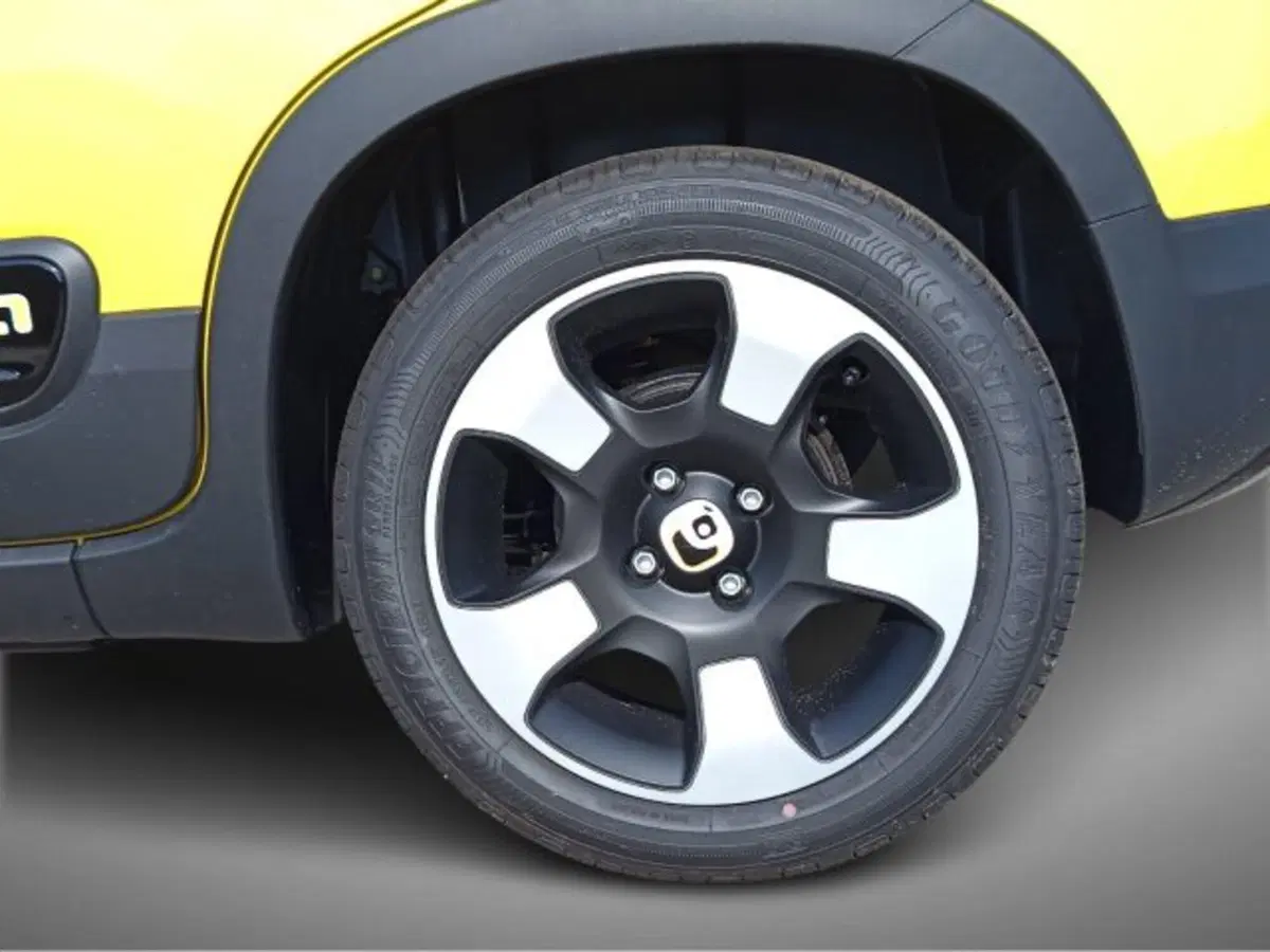 Fiat Pandina nuova a Frosinone (9)