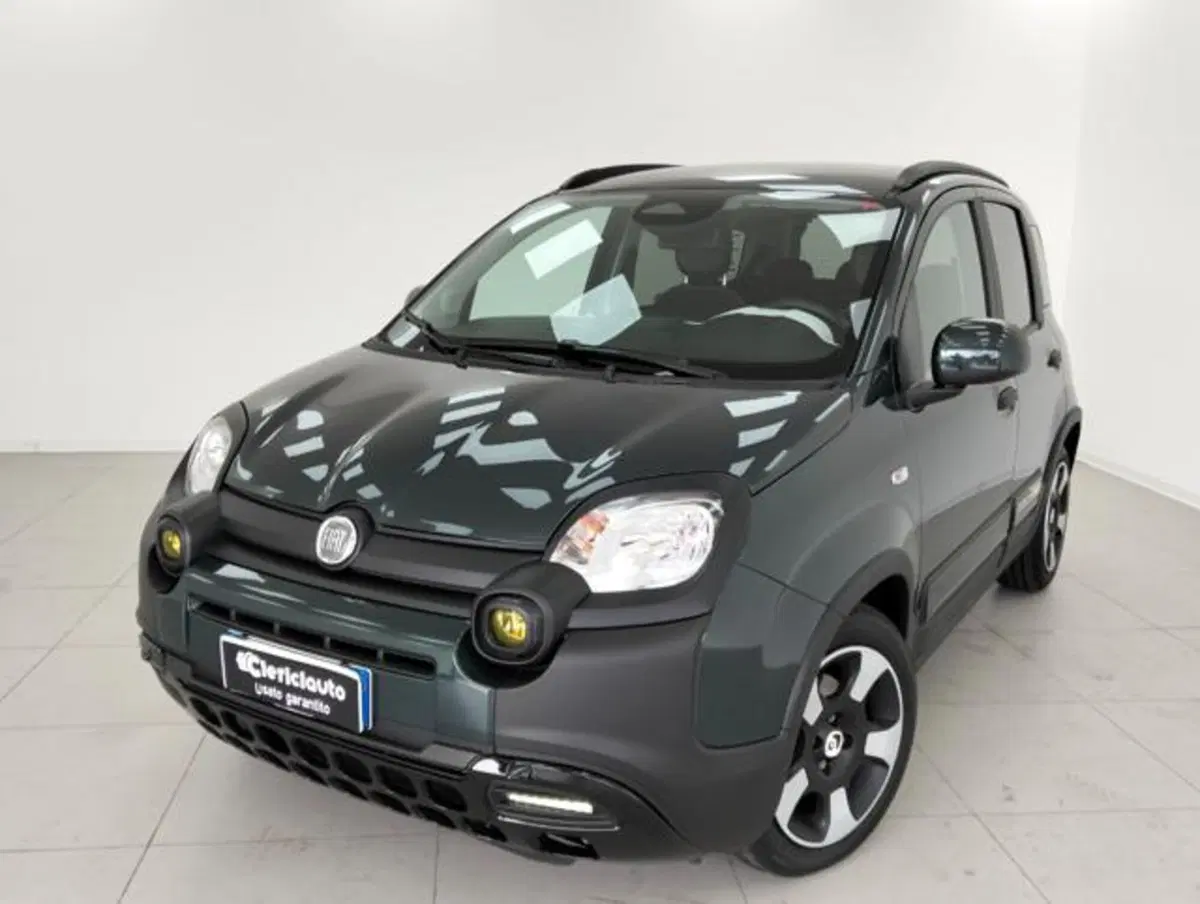 Fiat Pandina usata a Como