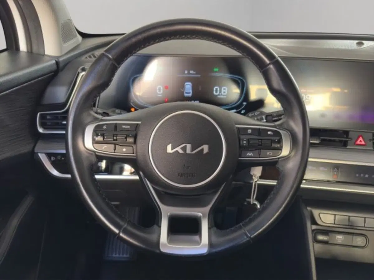 Kia Sportage usata a Perugia (12)