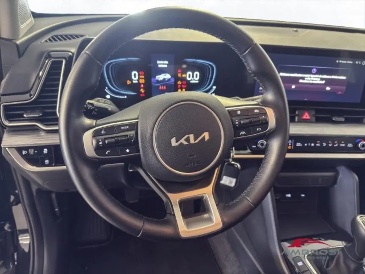 Kia Sportage usata a Perugia (14)