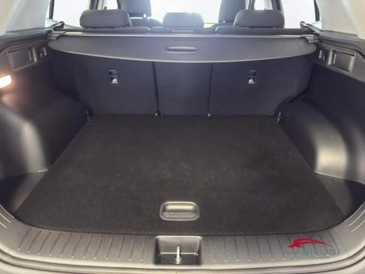 Kia Sportage usata a Perugia (9)