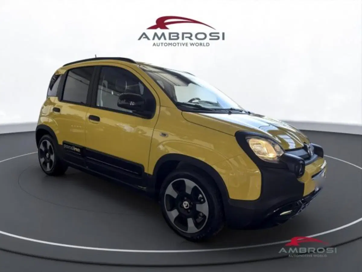 Fiat Panda usata a Perugia (2)