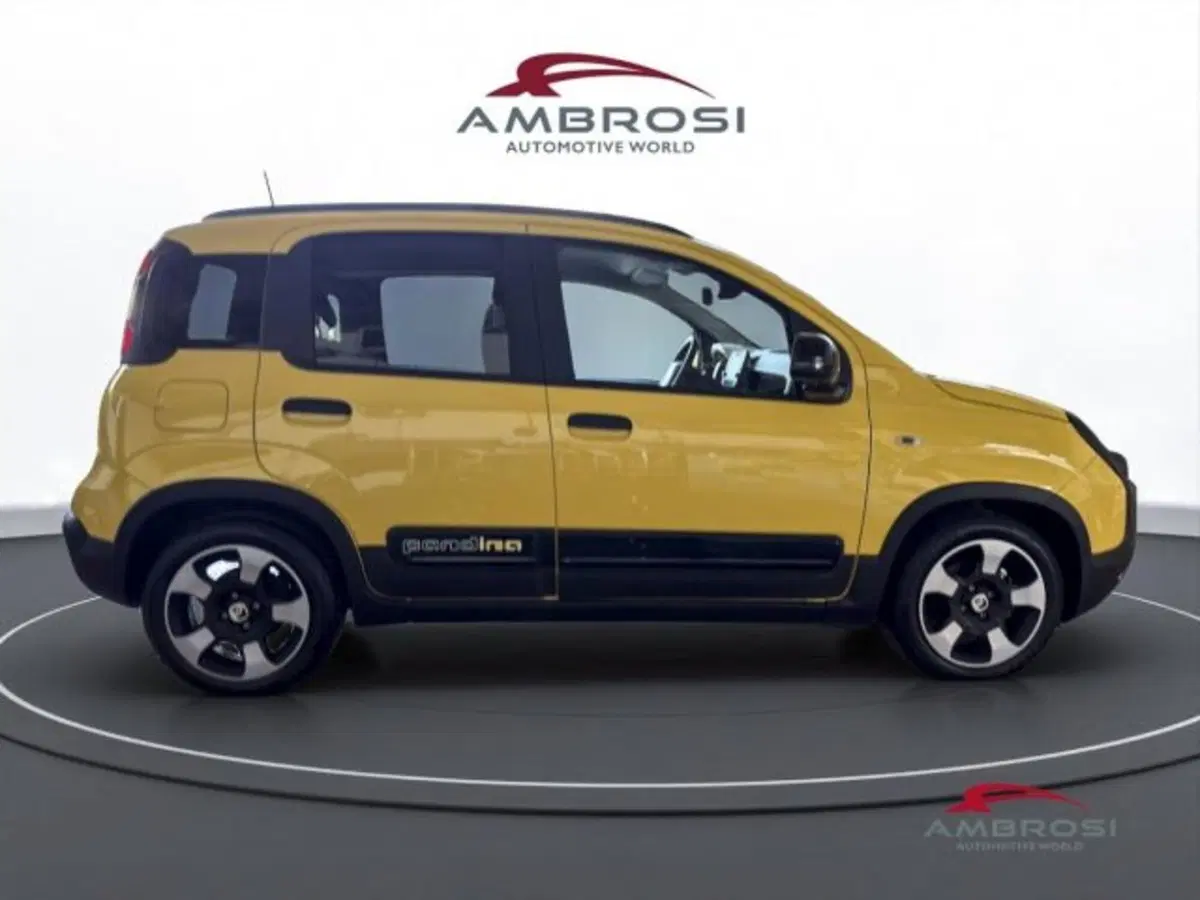 Fiat Panda usata a Perugia (5)