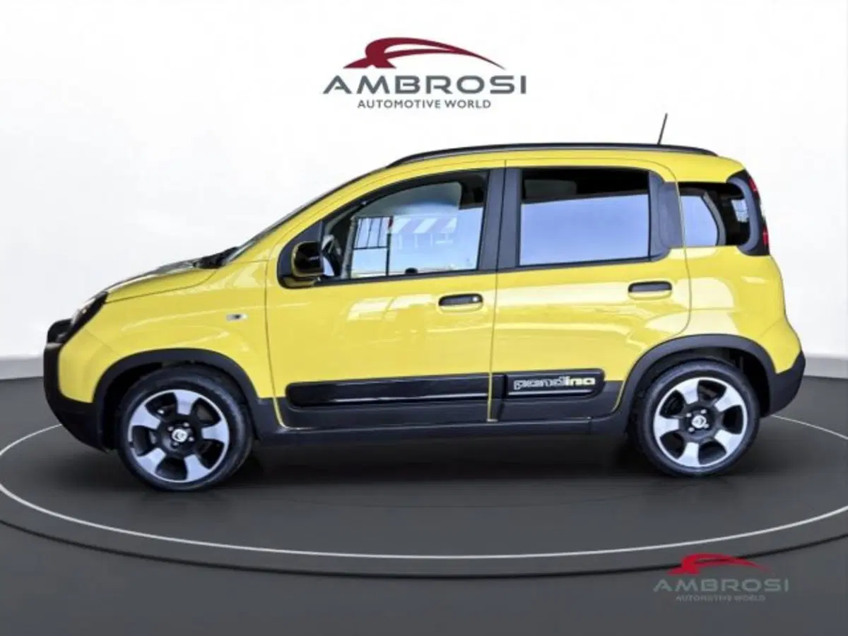 Fiat Panda usata a Perugia (6)