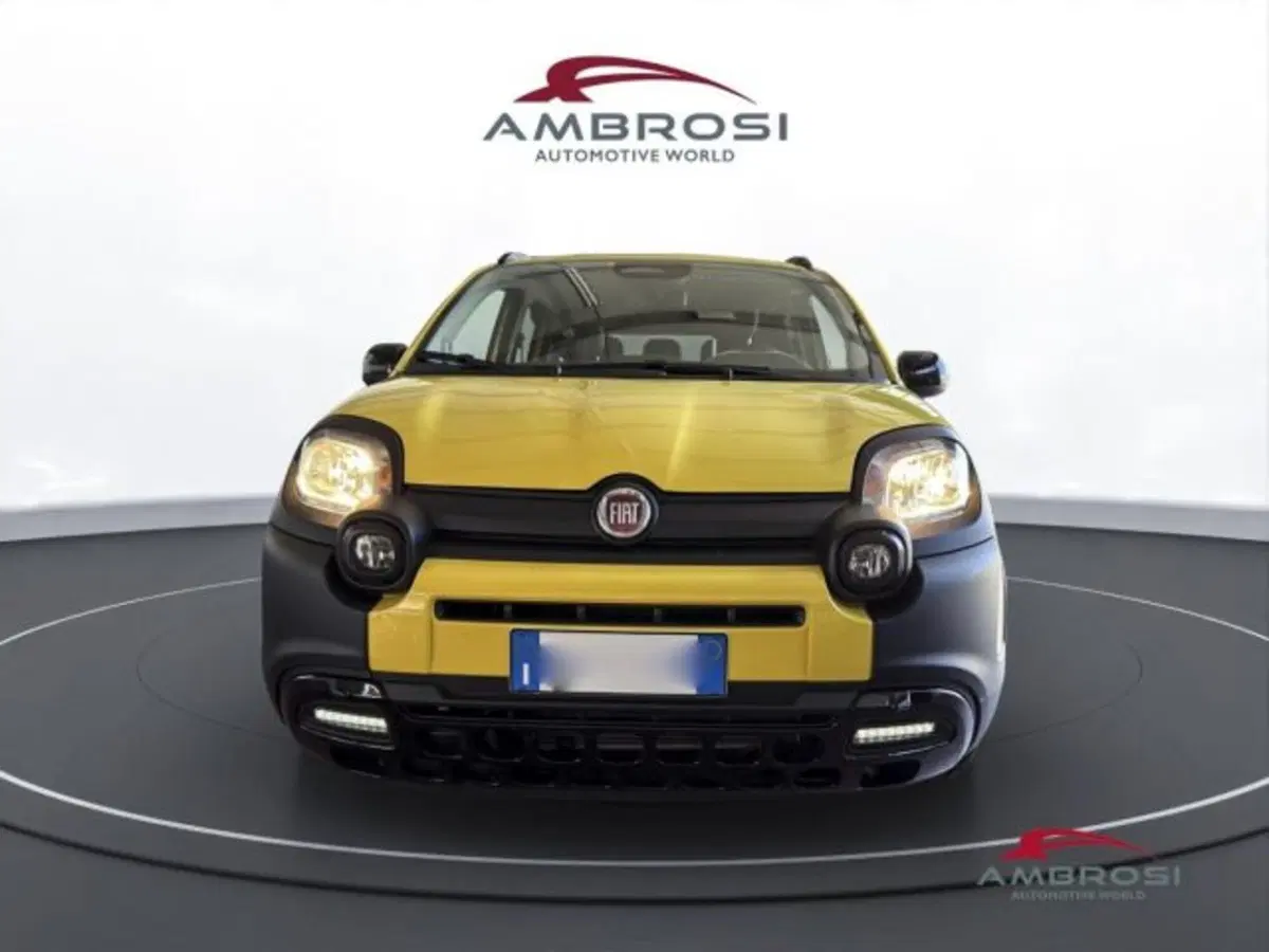 Fiat Panda usata a Perugia (7)