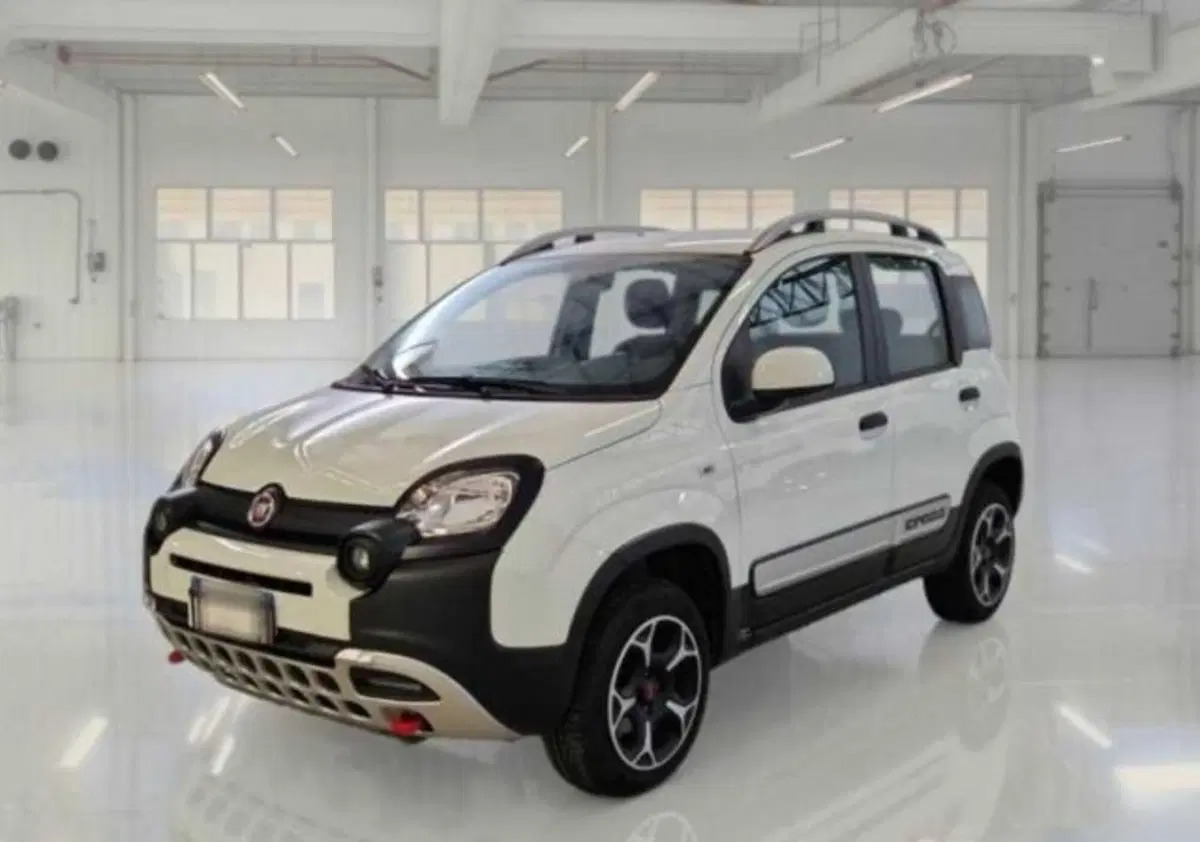 Fiat Panda usata a Bologna