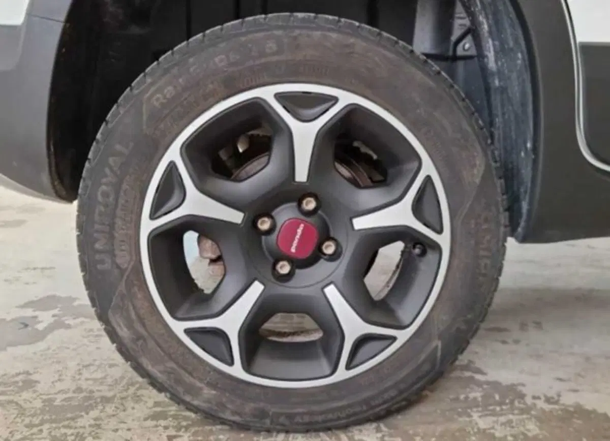 Fiat Panda usata a Bologna (11)