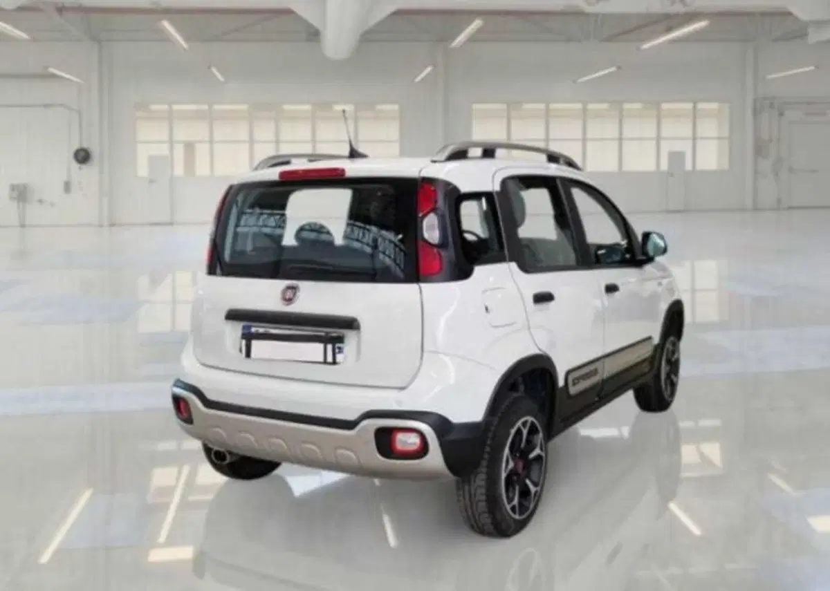 Fiat Panda usata a Bologna (2)