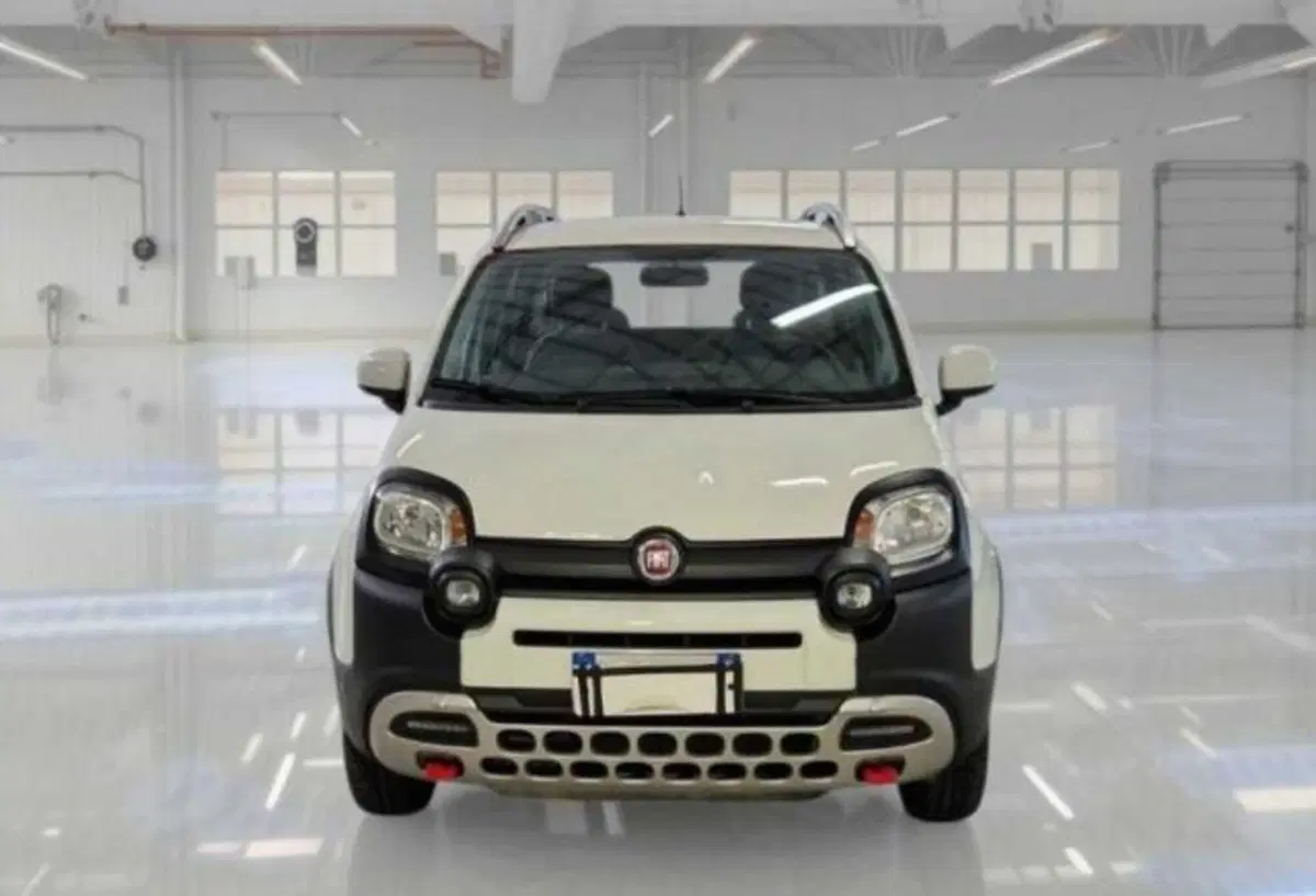 Fiat Panda usata a Bologna (5)