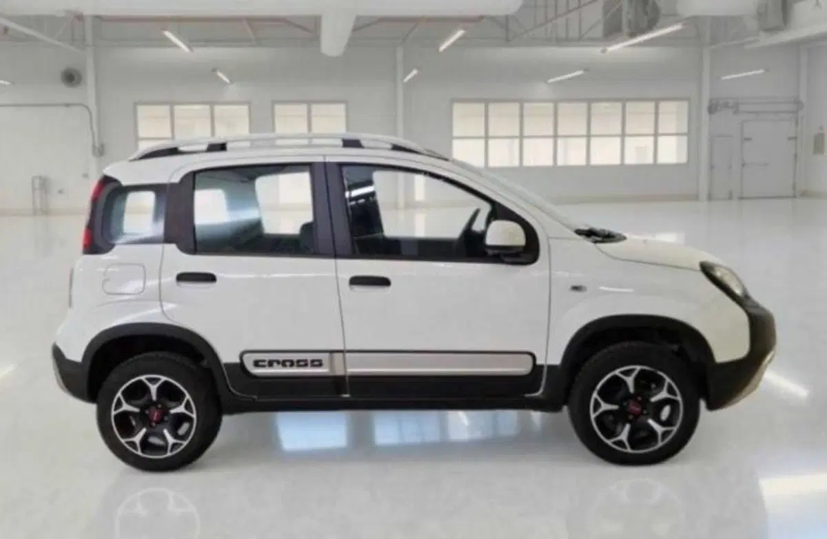 Fiat Panda usata a Bologna (6)