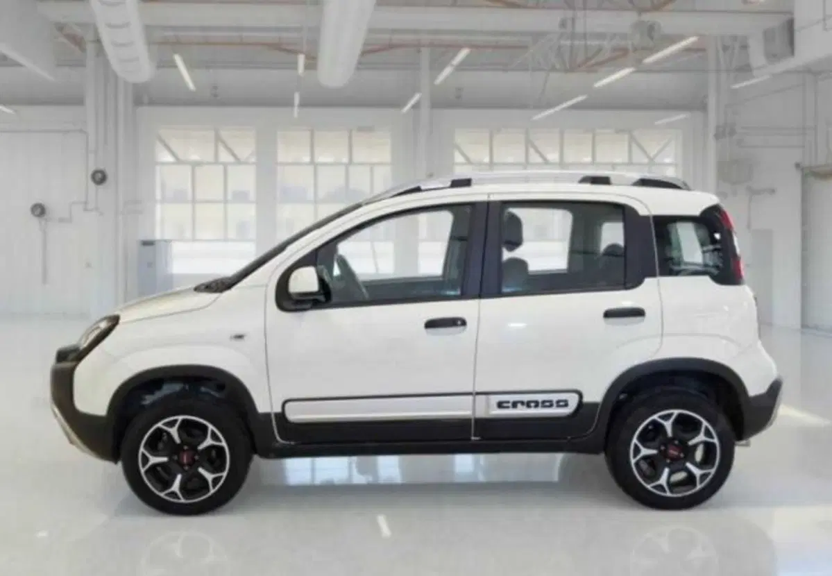 Fiat Panda usata a Bologna (7)