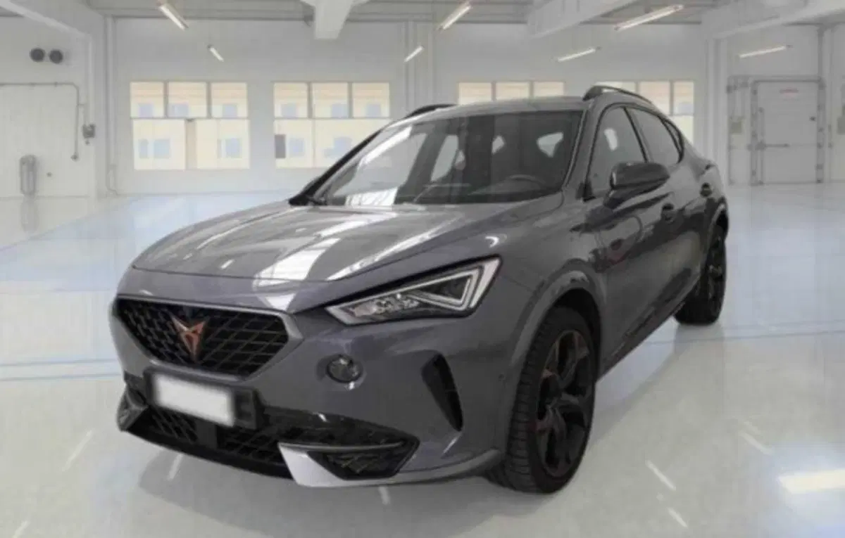 Cupra Formentor usata a Bologna