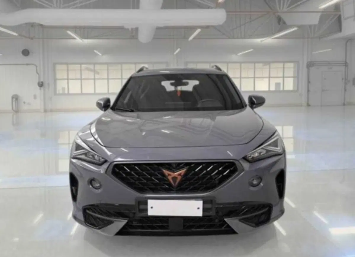 Cupra Formentor usata a Bologna (5)
