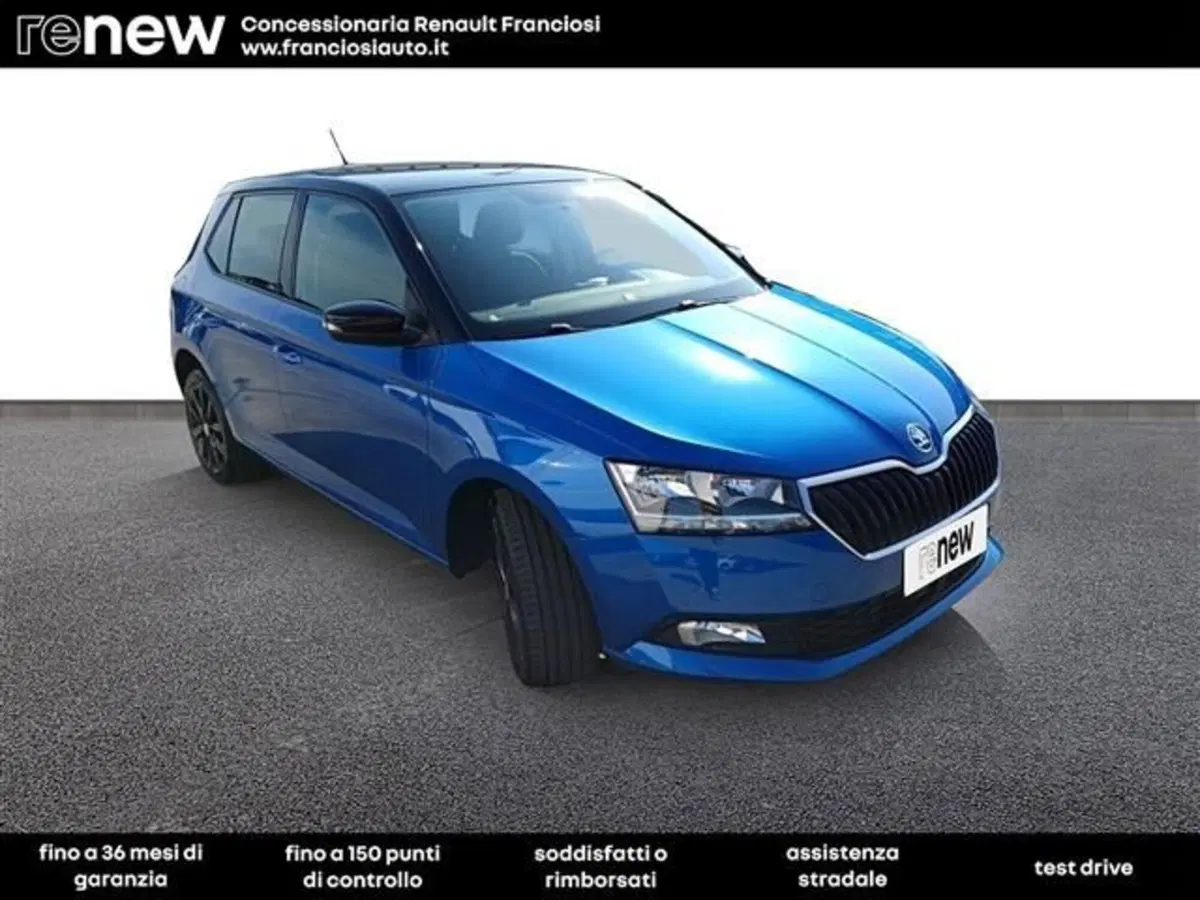 Skoda Fabia usata a Modena (2)