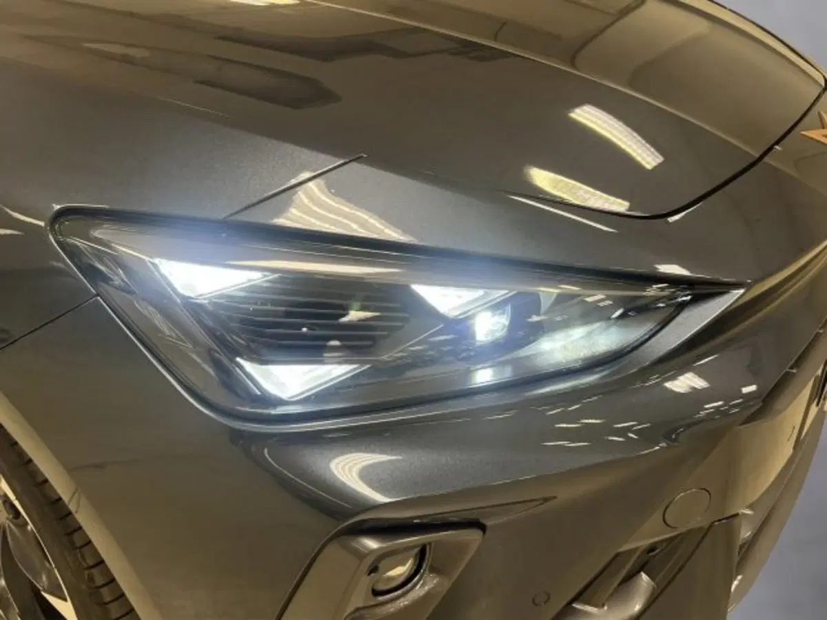 Cupra Leon usata a Vicenza (19)