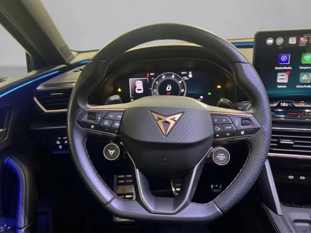 Cupra Leon usata a Vicenza (9)