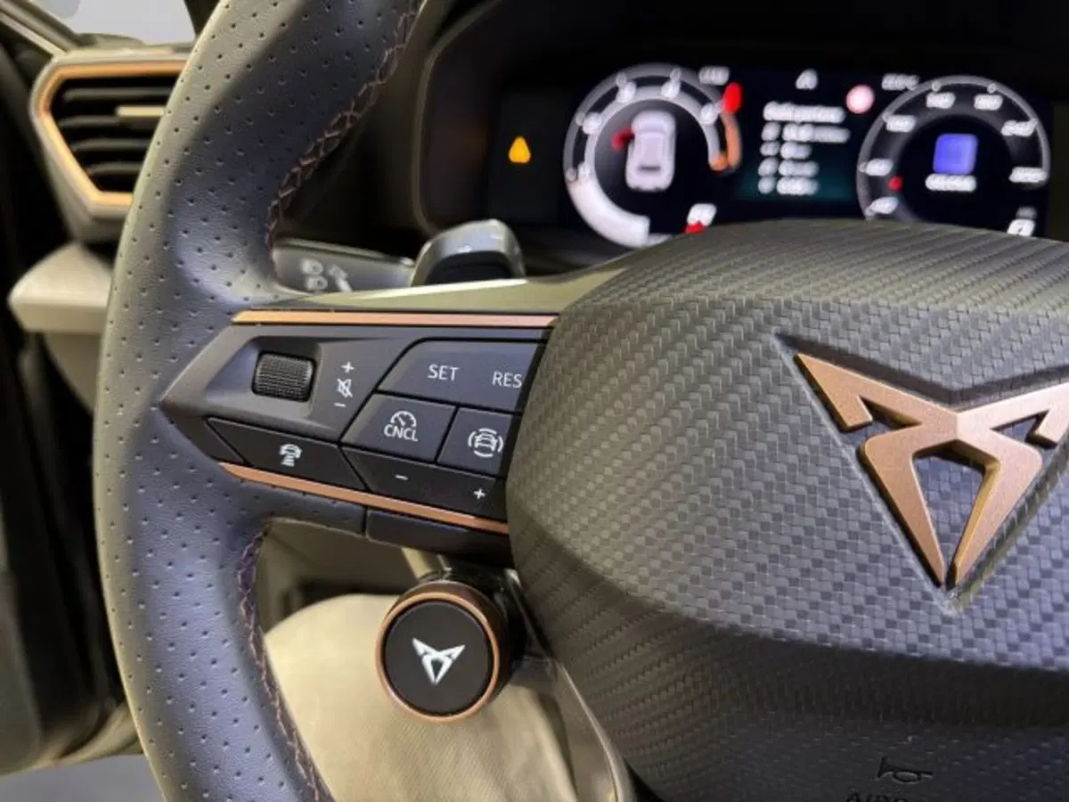 Cupra Leon usata a Vicenza (16)