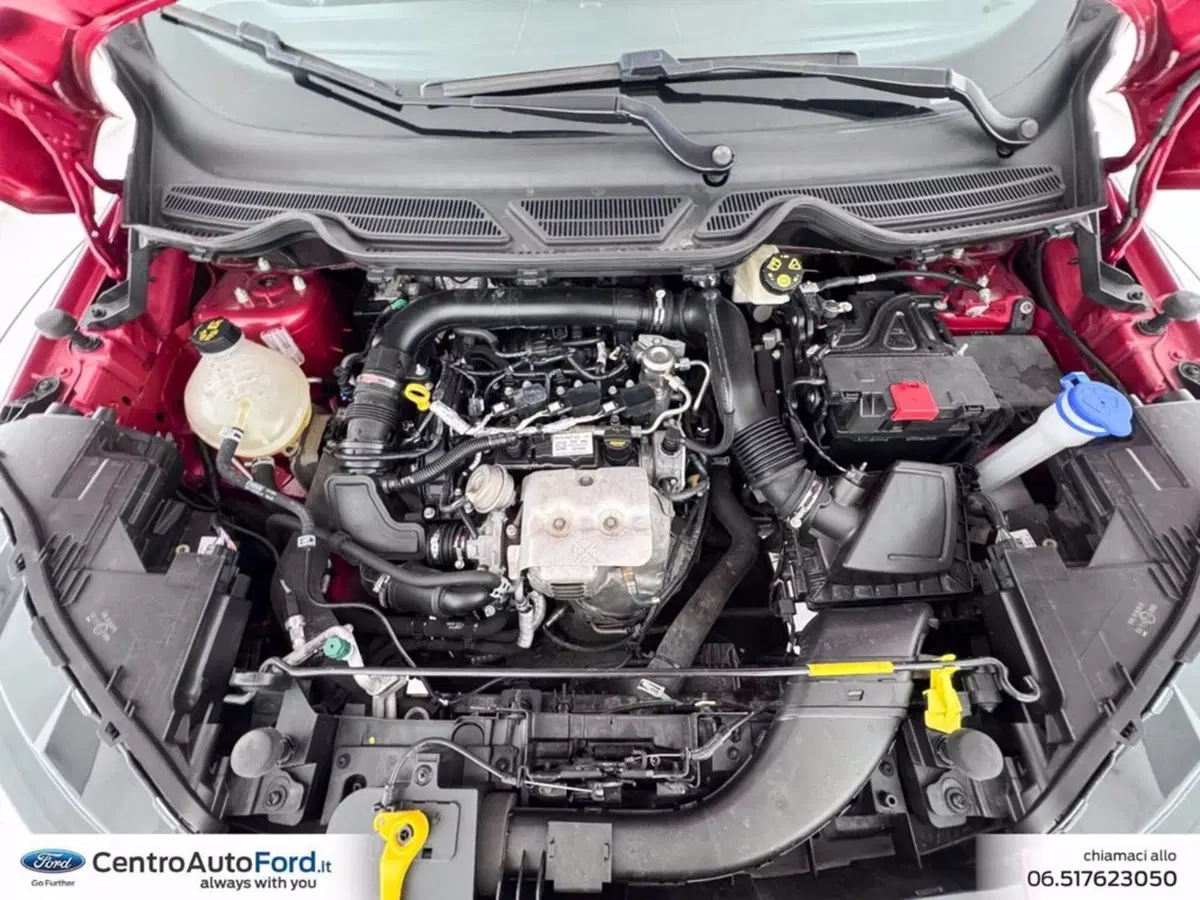 Ford EcoSport usata a Roma (12)