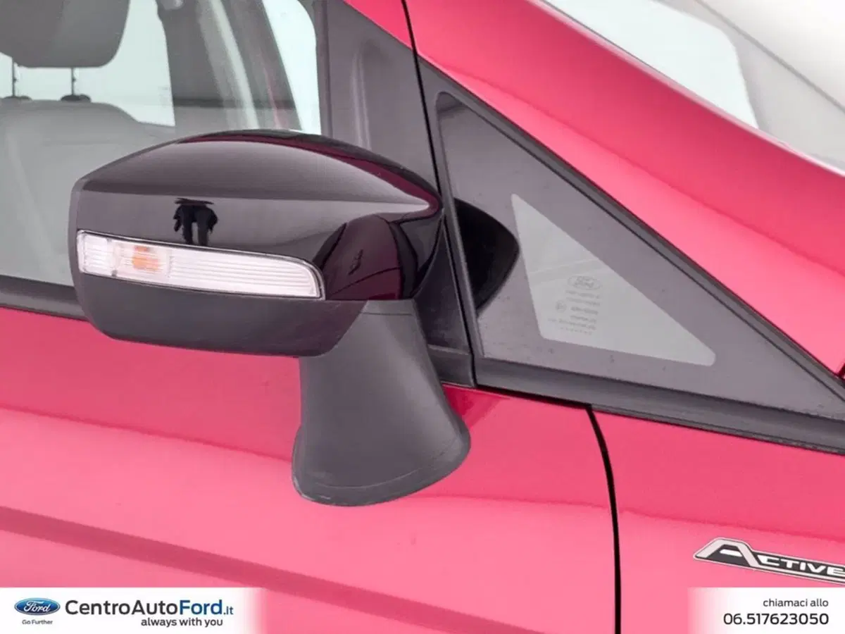 Ford EcoSport usata a Roma (15)