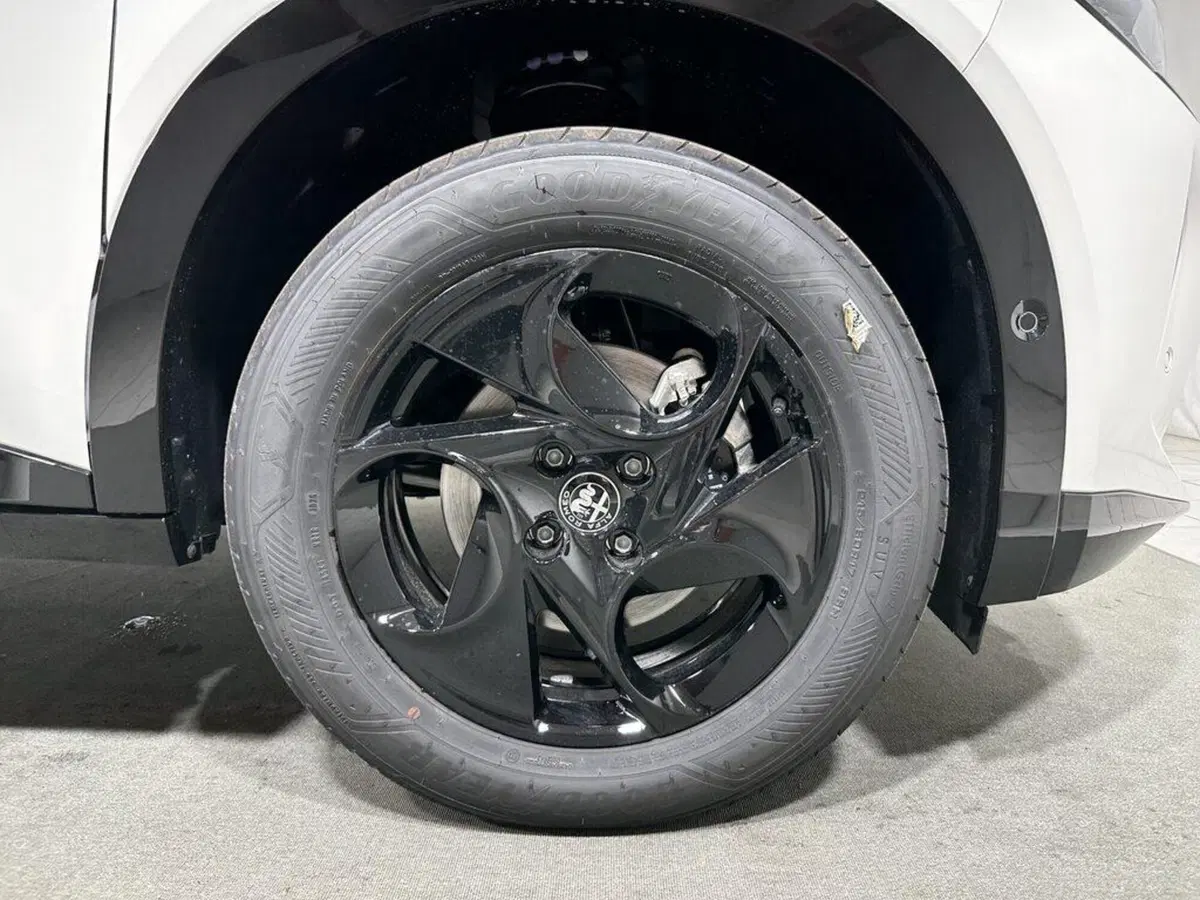 Alfa Romeo Junior nuova a Sondrio (9)