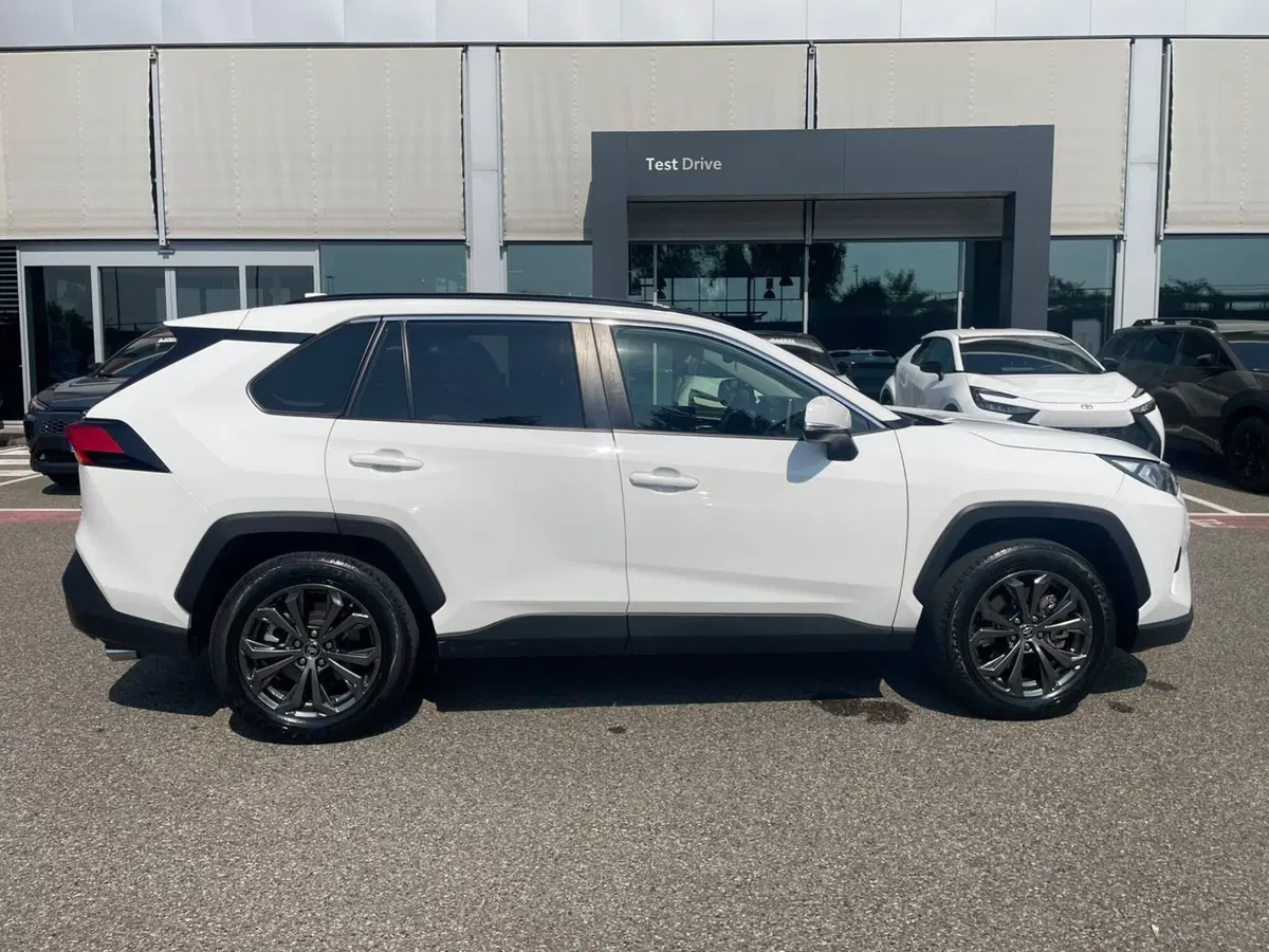 Toyota Rav4 usata a Piacenza (3)