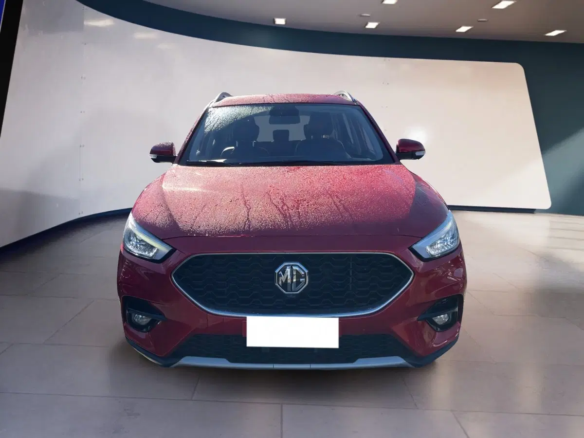 Mg ZS usata a Torino
