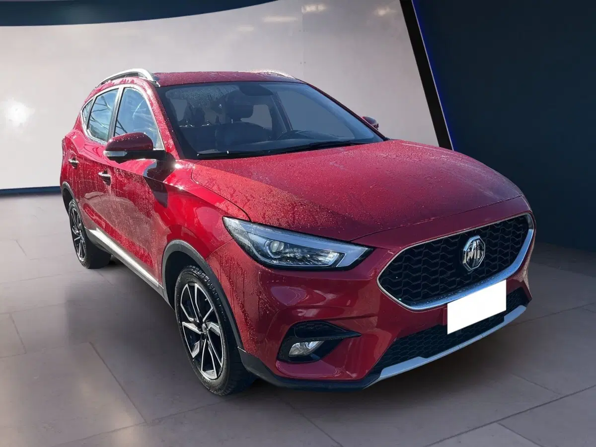 Mg ZS usata a Torino (2)