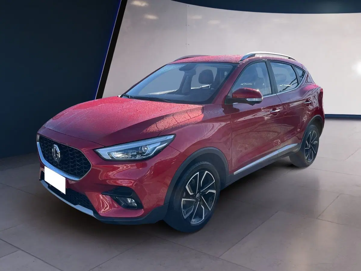 Mg ZS usata a Torino (3)