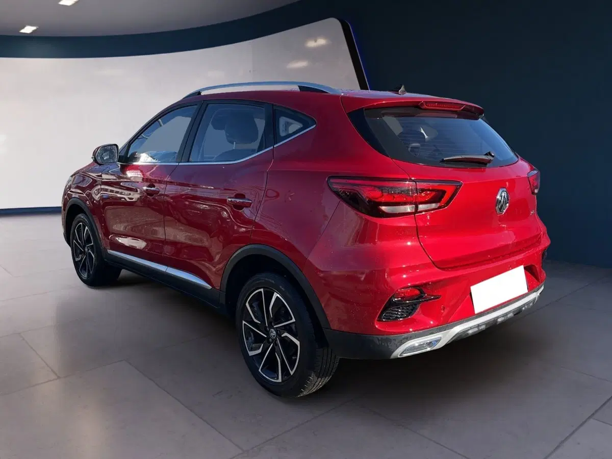 Mg ZS usata a Torino (4)