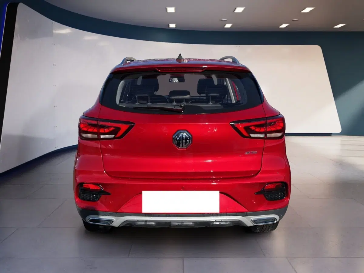 Mg ZS usata a Torino (5)