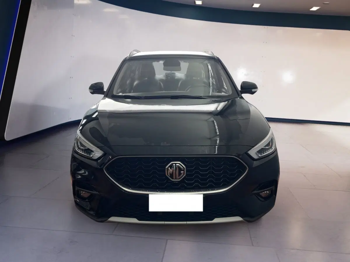 Mg ZS usata a Torino