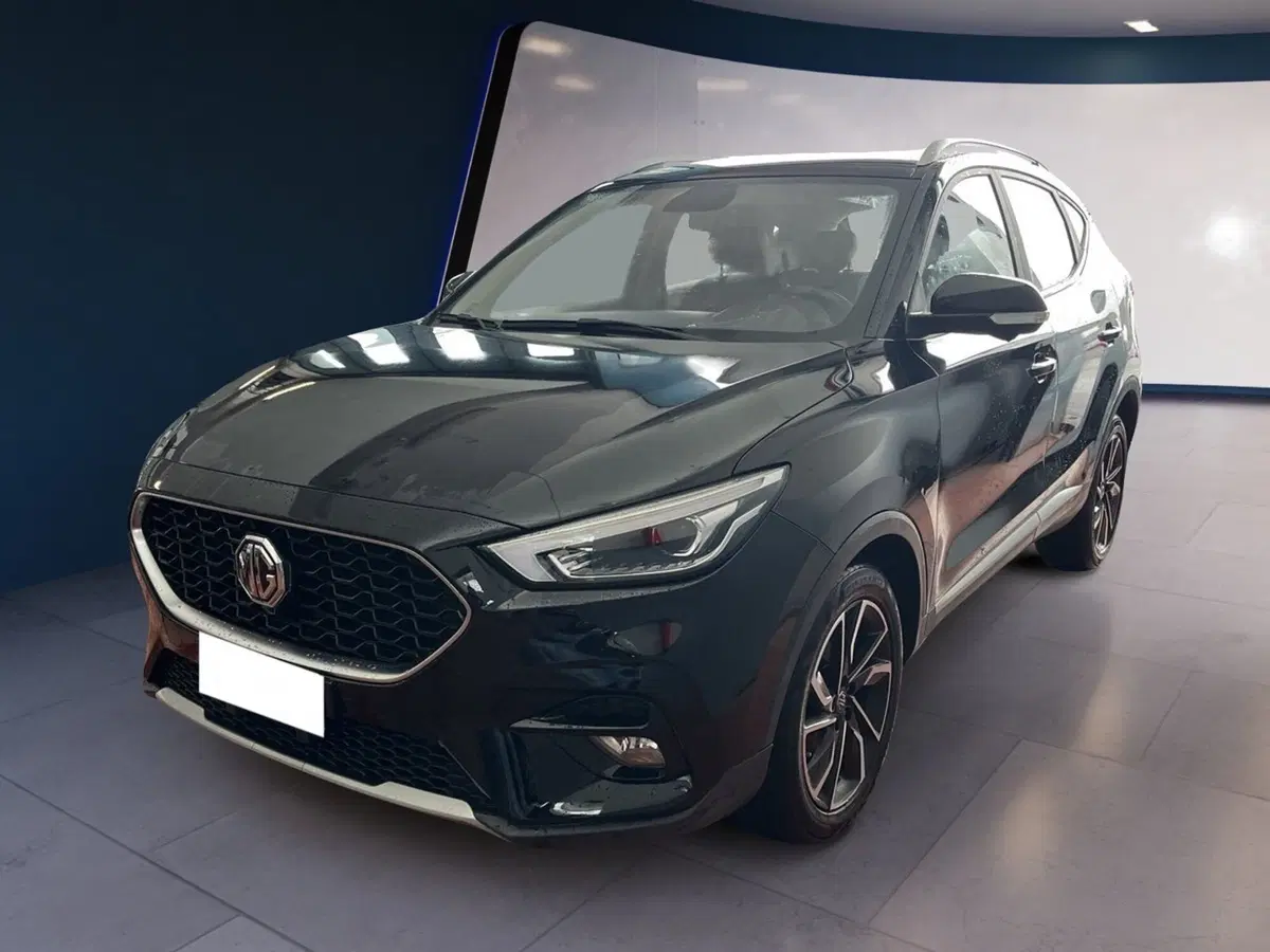 Mg ZS usata a Torino (2)