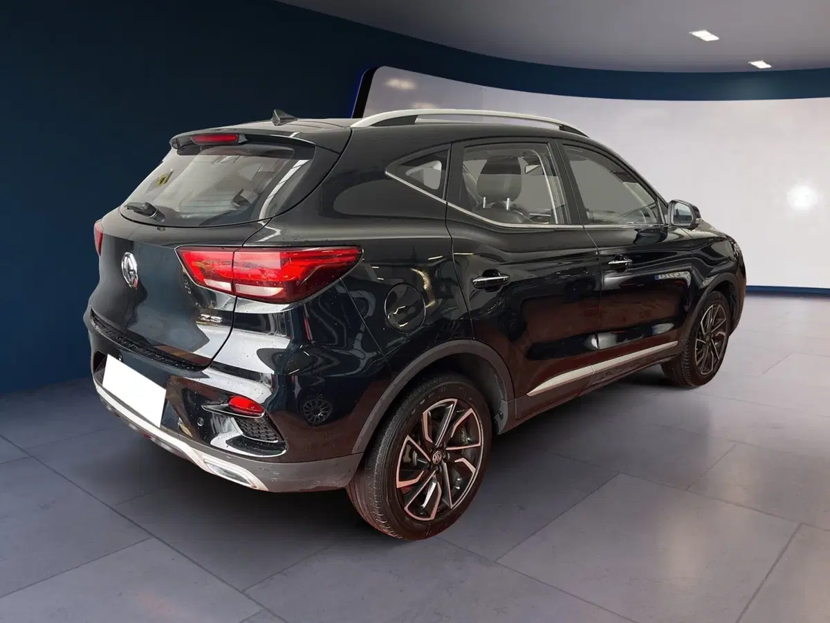 Mg ZS usata a Torino (4)