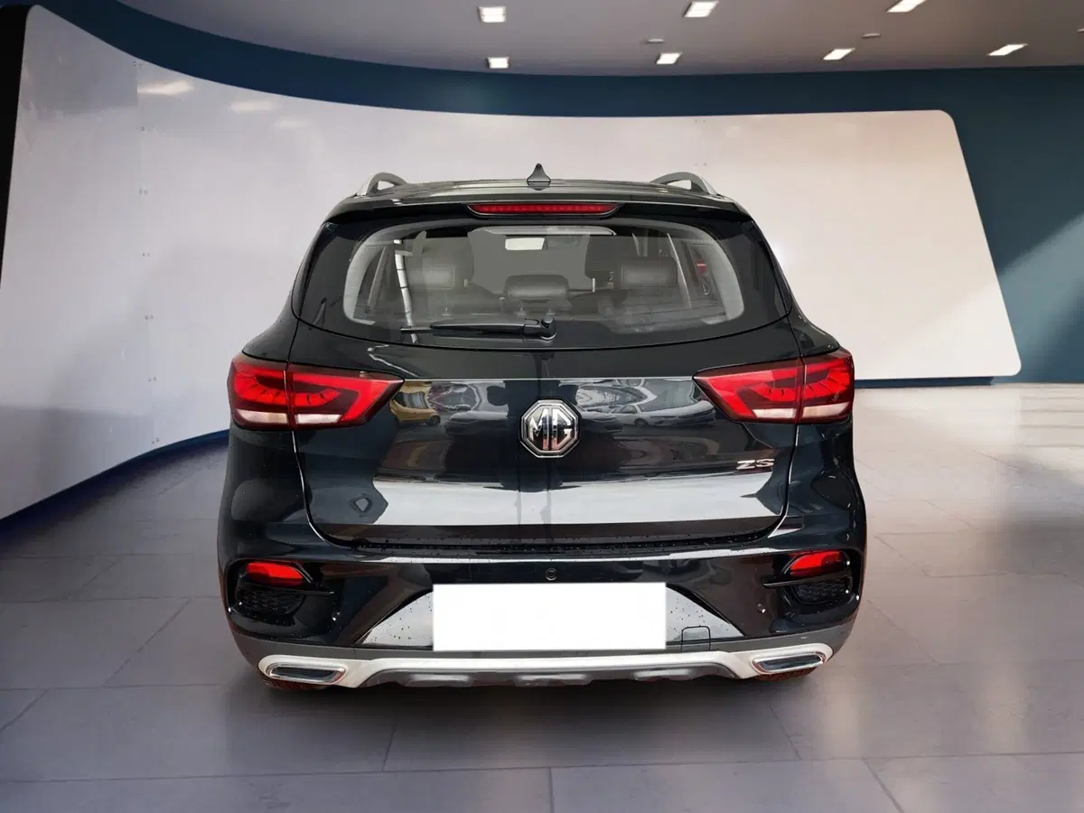 Mg ZS usata a Torino (5)