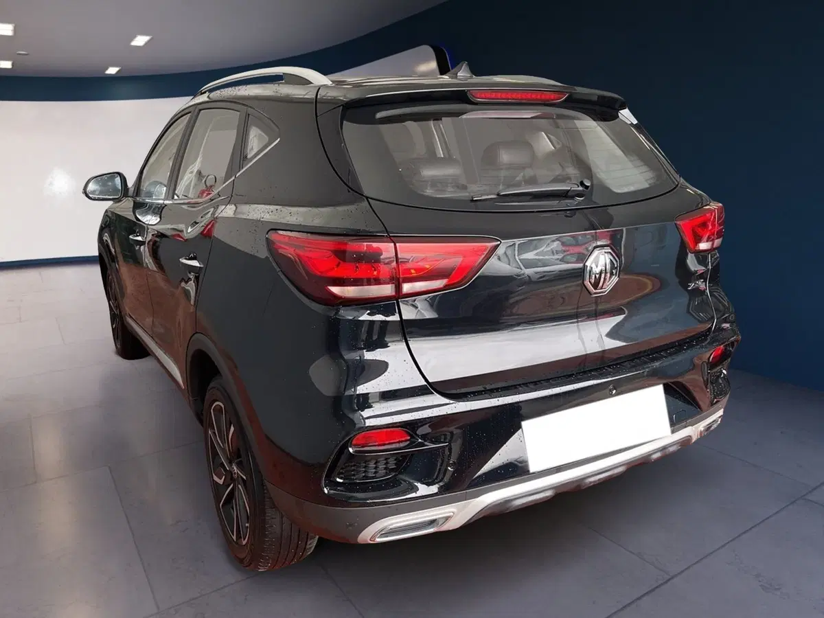 Mg ZS usata a Torino (6)