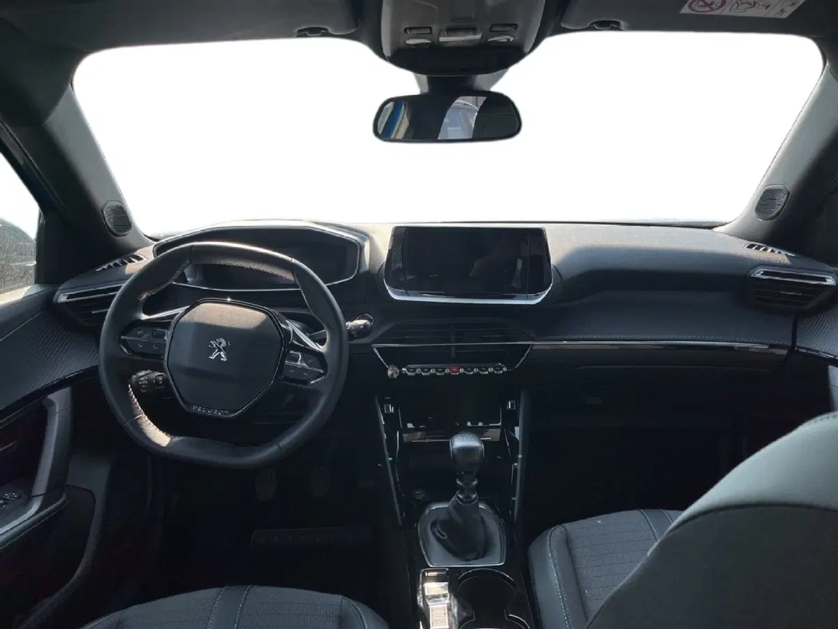 Peugeot 2008 usata a Torino (10)