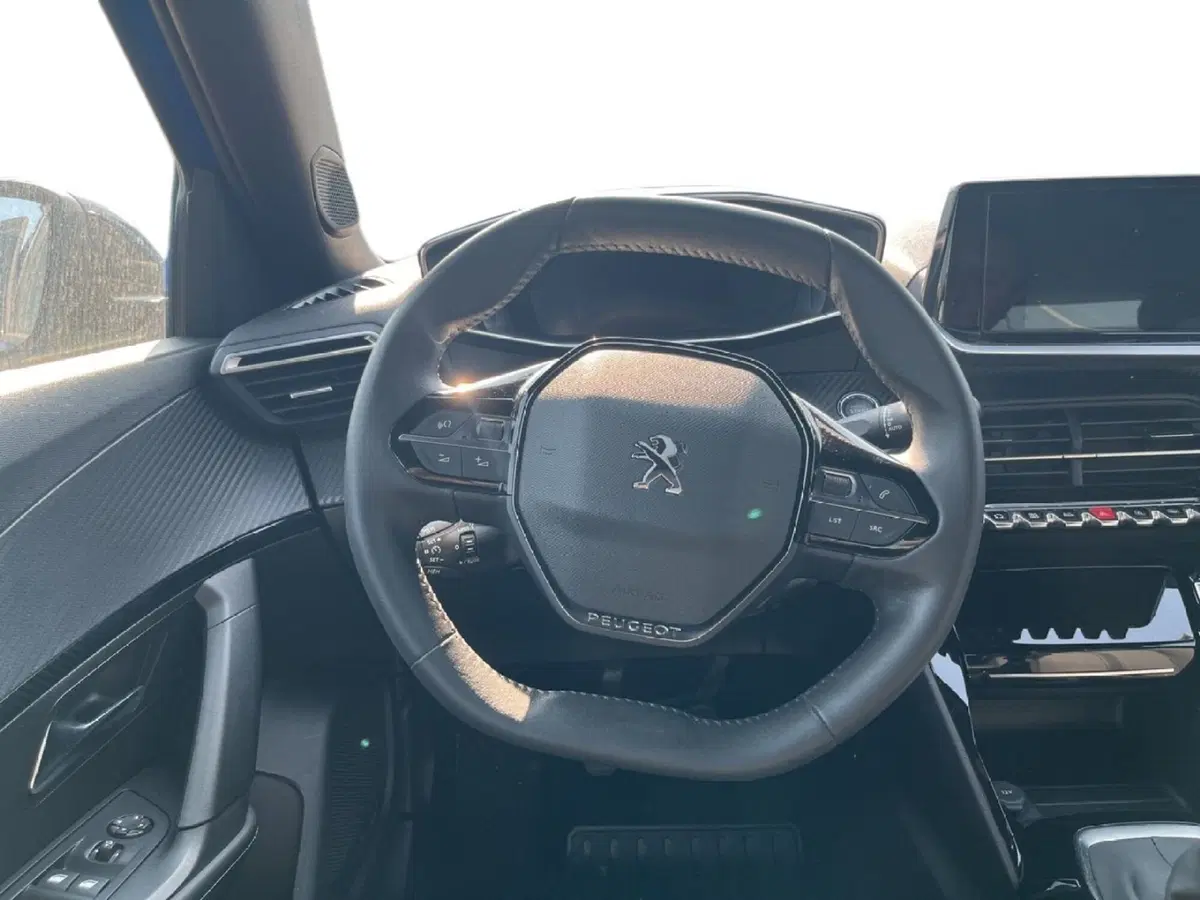 Peugeot 2008 usata a Torino (11)