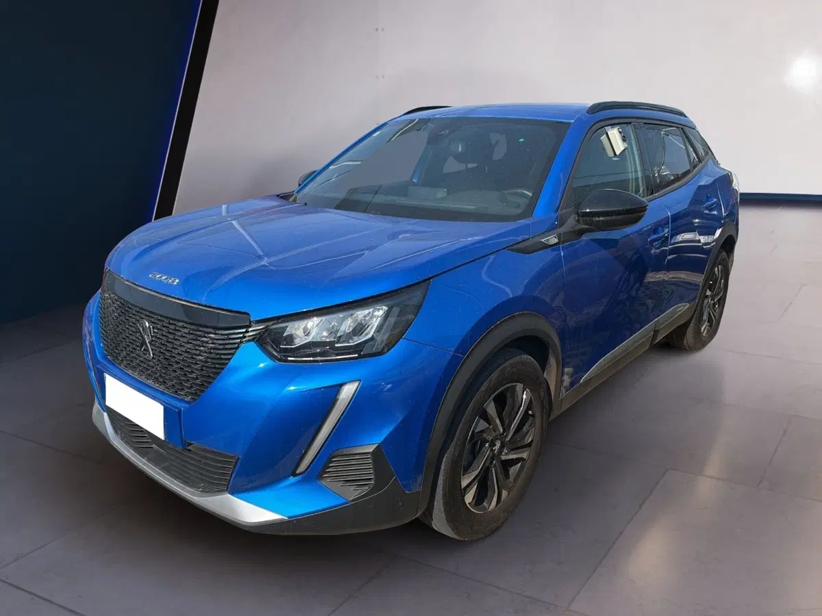 Peugeot 2008 usata a Torino (2)