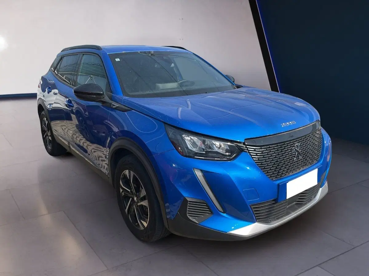 Peugeot 2008 usata a Torino (3)