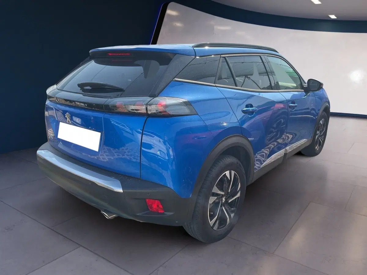 Peugeot 2008 usata a Torino (4)