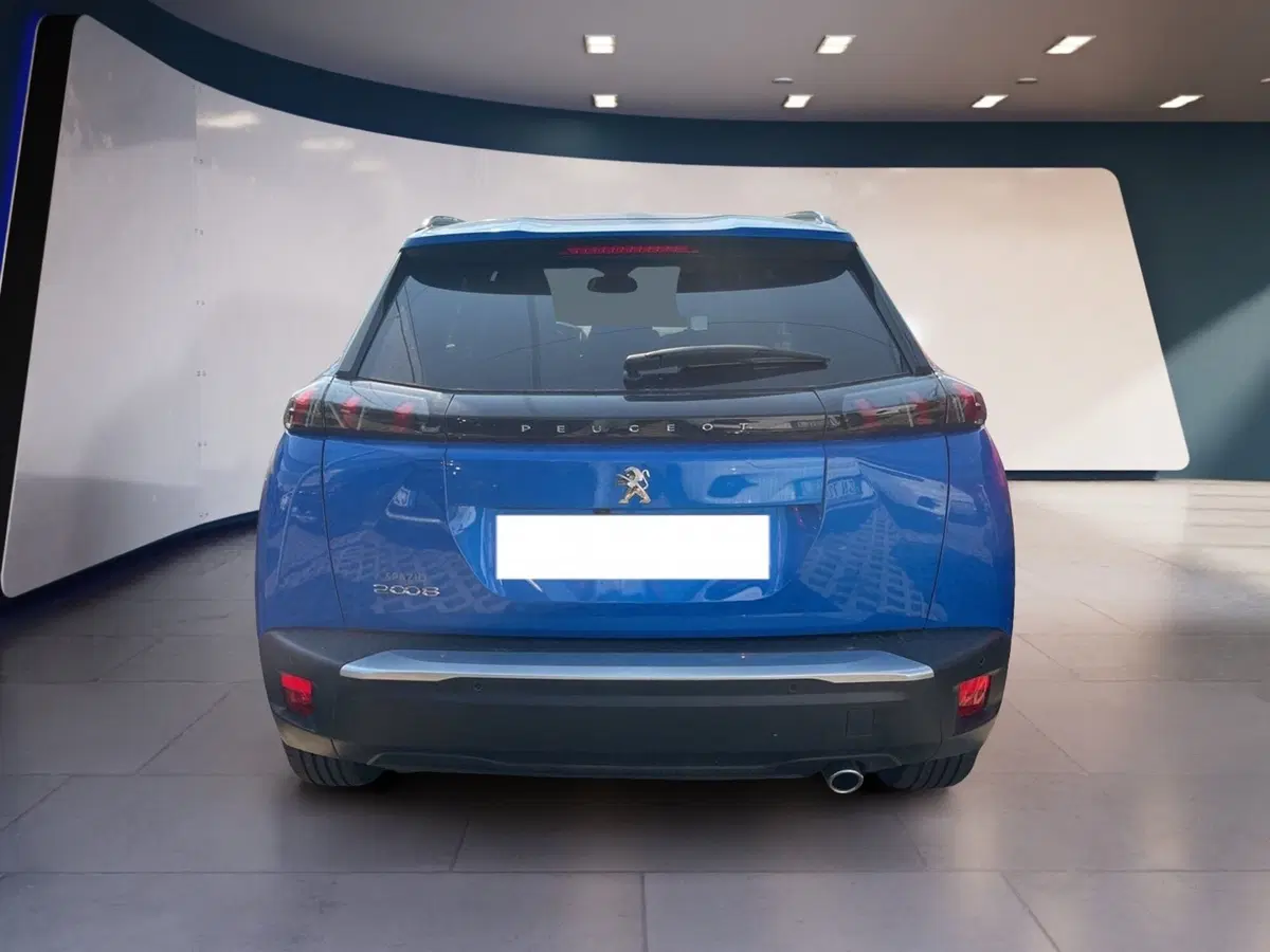 Peugeot 2008 usata a Torino (5)