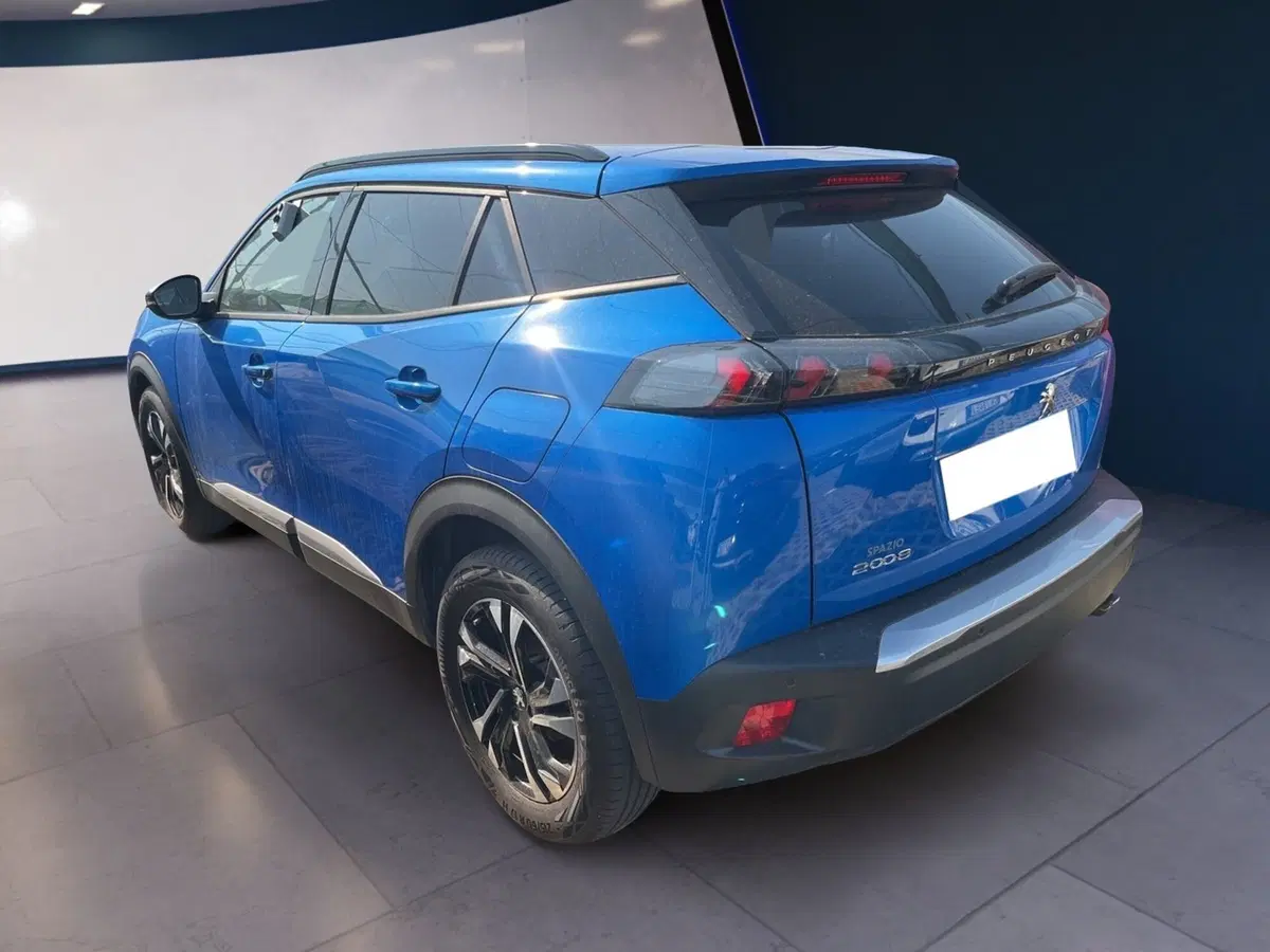 Peugeot 2008 usata a Torino (6)