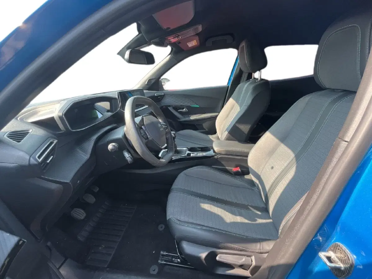 Peugeot 2008 usata a Torino (9)