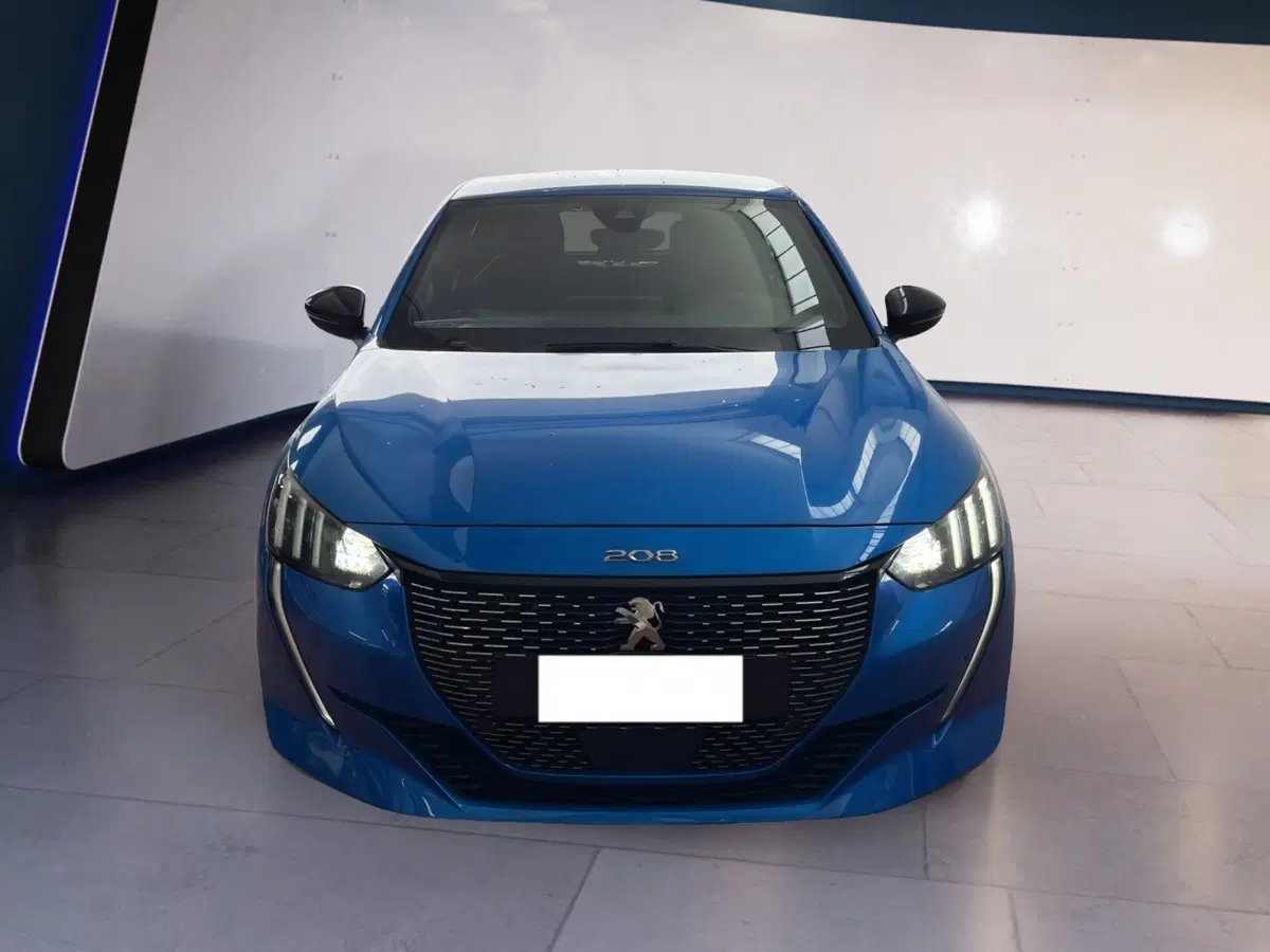Peugeot 208 usata a Torino
