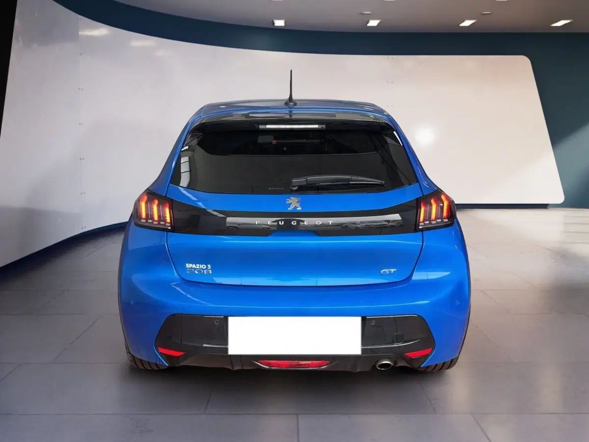 Peugeot 208 usata a Torino (5)