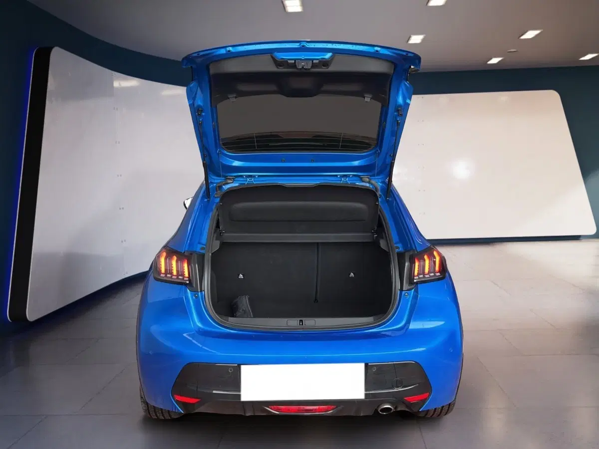 Peugeot 208 usata a Torino (7)