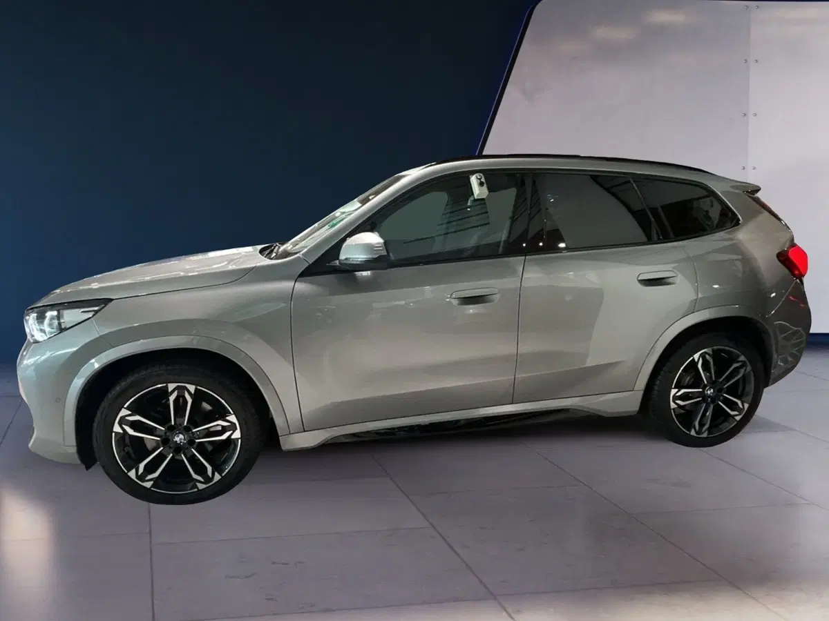 BMW X1 usata a Torino (2)