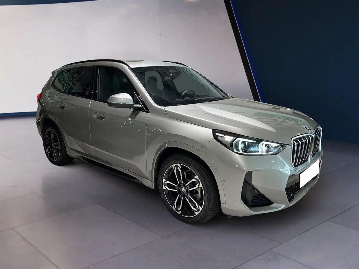 BMW X1 usata a Torino (3)